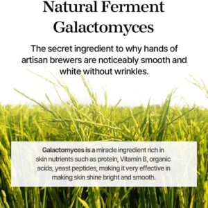 mixsoon Galactomyces Ferment Essence 3.38 fl oz / 100ml - Image 4